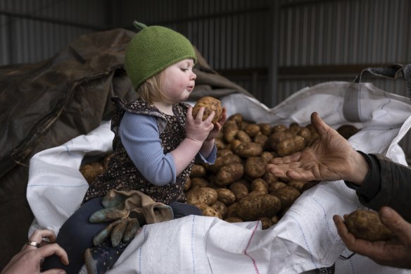 Eleanora Dunn, 20 months, was born into one of the region’s major potato-farming families.