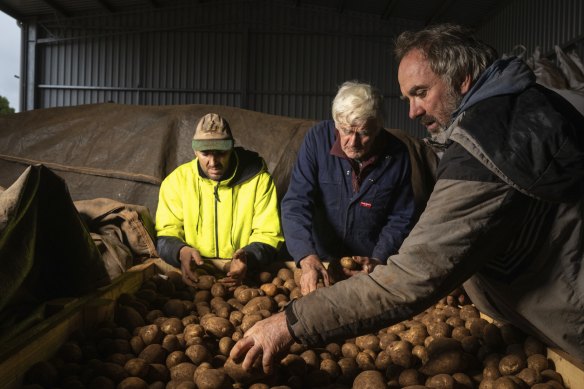 Two generations of the Dunn spud farming family prepare potatoes for Trentham’s Spudfest.