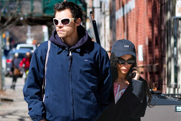 Harry Styles and Zoe Kravitz