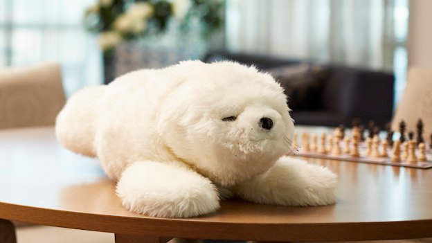 Paro, the robotic baby seal.