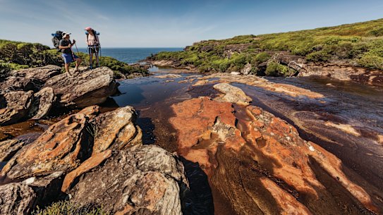 The Curra Moors loop track, Royal National Park, offers sandstone cliff and coastal views.