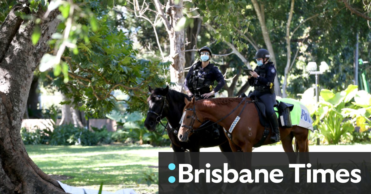 Queensland chief health officer jeannette young: Live ...