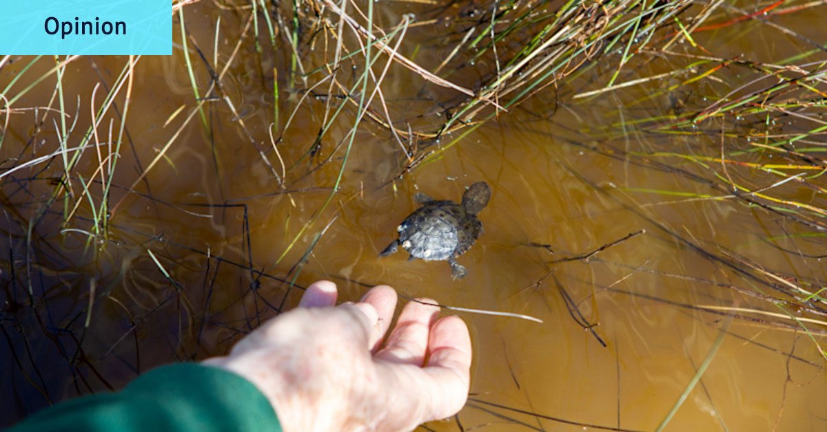 It’s not enough for WA to act only once a species is in trouble