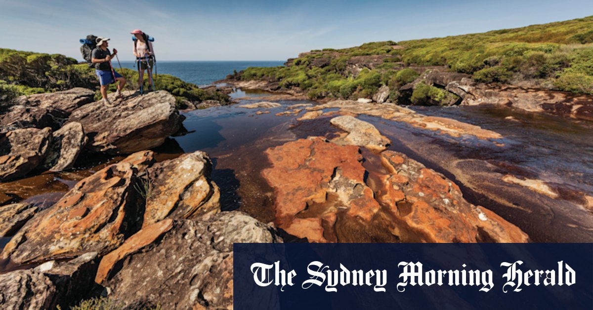 Man rescued after falling off cliff in Royal National Park - Vimarsana News