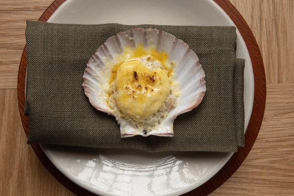 Abrolhos Islands scallop at Morena.