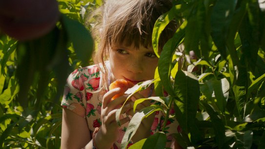 Ainet Jounou, one of the non-professional actors, in <i>Alcarras</i>.