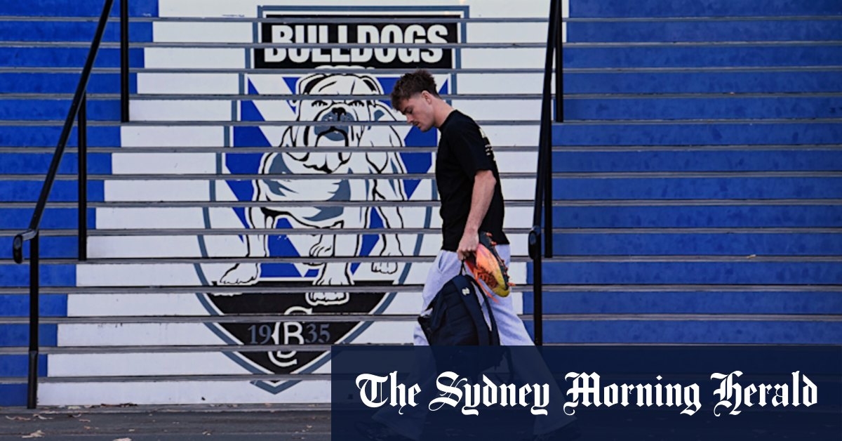 The Panthers are about to put Lachie Galvin under the blowtorch