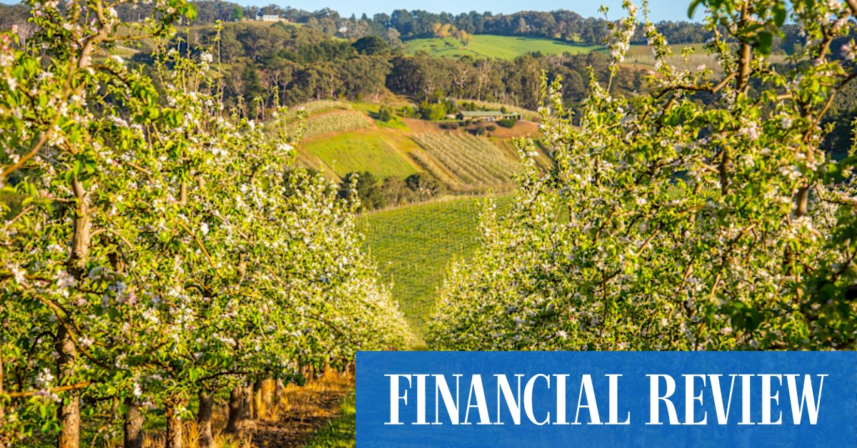 afr.com - Max Allen - Don't like beer or wine? This could be your drink