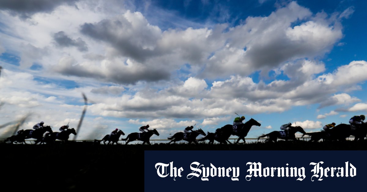 Race-by-race preview and tips for Port Macquarie on Monday