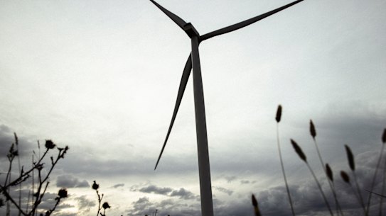 The Minns government’s review has raised doubts about EnergyCo’s ability to deliver on the Renewable Energy Zones.