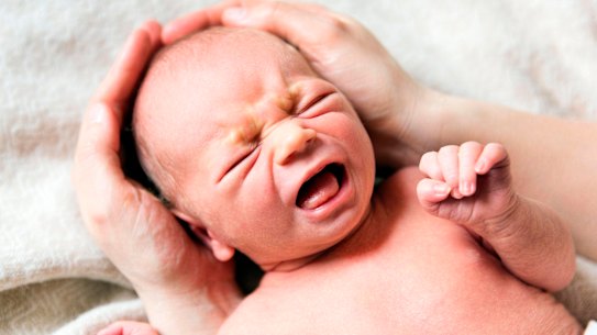 Babies are being flown to Victoria.