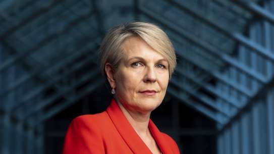 Environment and Water Minister Tanya Plibersek, pictured at Parliament House, says she is willing to regulate recyclying.