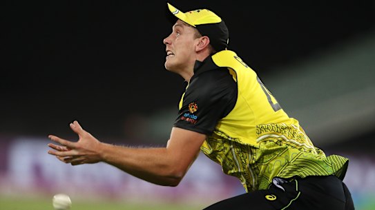 Australia have missed opportunities throughout the World Cup.