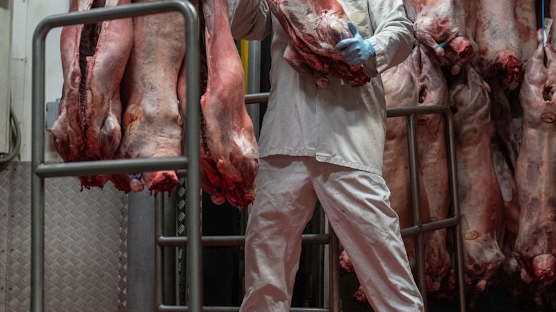 Police allege $10 million cash smuggling using meat freight trucks between Queensland and NSW