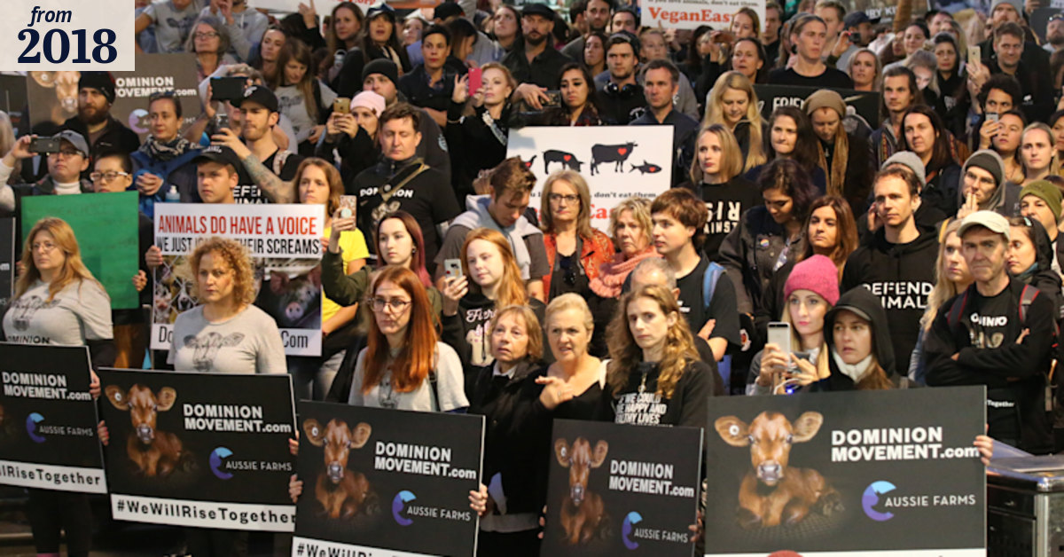 Animal rights activists rally in Melbourne CBD
