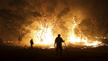 Two in five children and young people were personally impacted by the Black Summer bushfires.