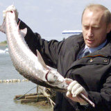 Russian President Vladimir Putin with a sturgeon in 2011. The fish species survived the mass extinction.  