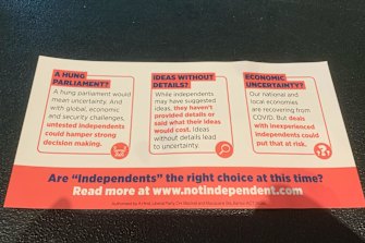 Liberal flyer Goldstein