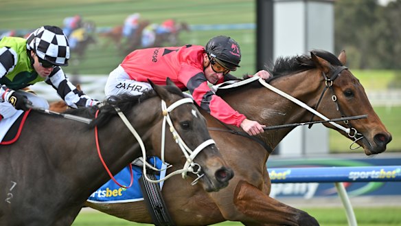 Engine Of War (red silks) won his first race at Sandown in September.