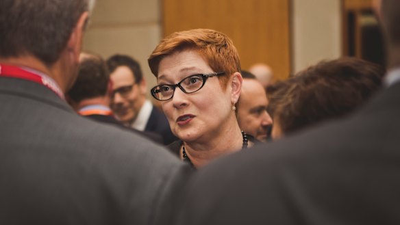Foreign Minister Marise Payne: "We firmly support individual human rights."