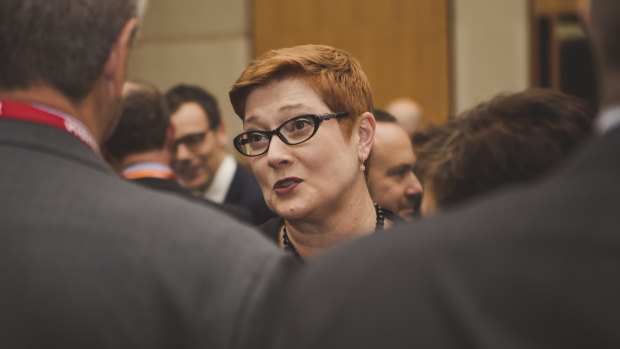 Foreign Minister Marise Payne: "We firmly support individual human rights."
