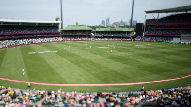 The NSW government has increased the crowd capacity of the Big Bash final at the SCG. 