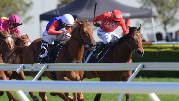 Storming winner: Kerrin McEvoy drives Military Zone (outside) to victory over Danawin at Randwick.