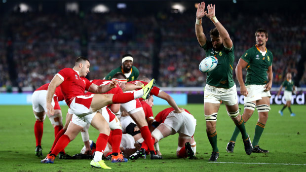 South Africa will face England in the Rugby World Cup final after defeating Wales.