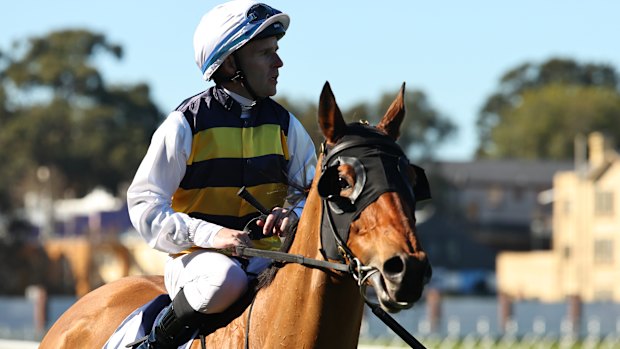 She’s Unusual won for the first time in 11 months on Saturday.