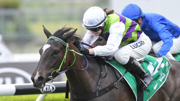 Ready to step up: trainer Joe Cleary has Girls Are Ready aimed at a Magic Millions tilt.