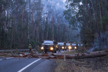 Crews have been working for weeks to clear sections of the Princes Highway. Pictured are Australian Defence Force troops and members of Forest Fire Management Victoria clearing felled trees on the Princes Highway just outside Genoa on January 12. 
