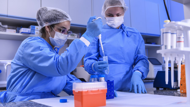 Andressa Parreirasand Larissa Vuitika work in a laboratory during the extraction of the virus genetic material in Belo Horizonte, Brazil. Several countries are working on developing a vaccine for coronavirus.