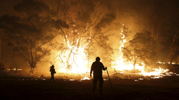 After three summers with above-average rainfall, bushfires are set to be a threat again in 2023.