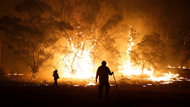 After three summers with above-average rainfall, bushfires are set to be a threat again in 2023.