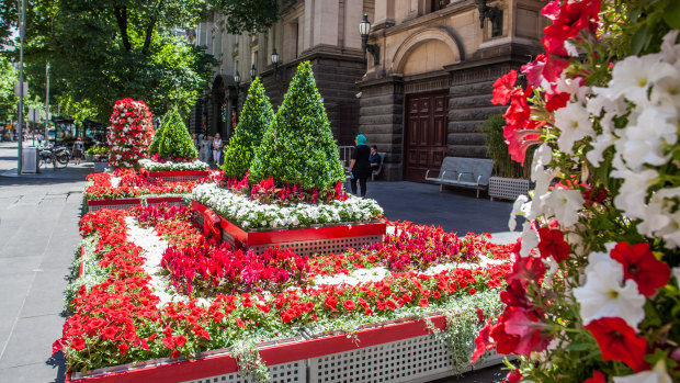 The flower beds at Melbourne Town Hall last year. 