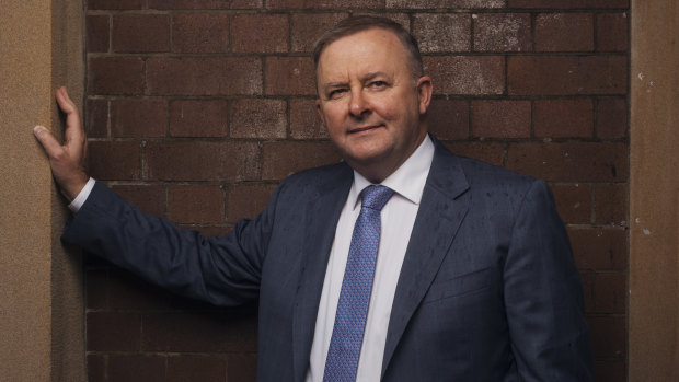 Labor frontbencher Anthony Albanese. 