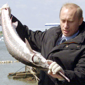 Two cold fish: Russian President Vladimir Putin with a sturgeon.