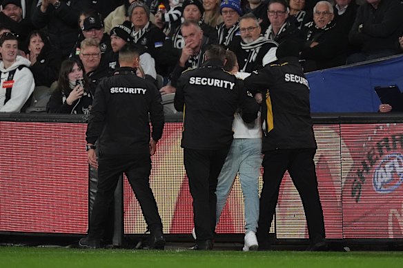 Marvel Stadium security firm collapses amid alleged underpayments