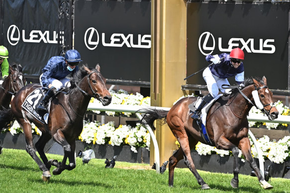Kerrin McEvoy (left) broke the whip rules in the 2020 Melbourne Cup when second on Tiger Moth.