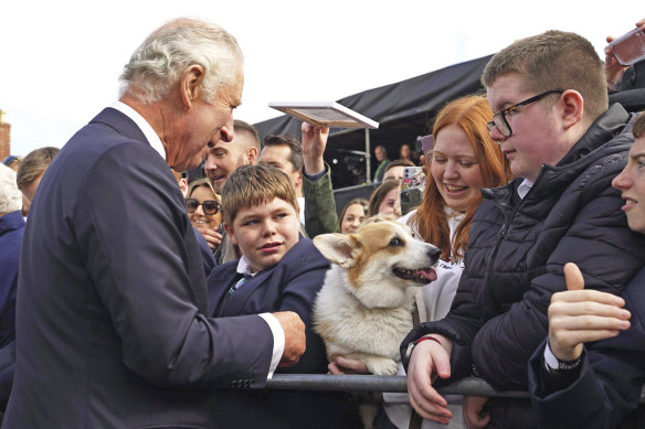 The King meets a corgi in Belfast.
