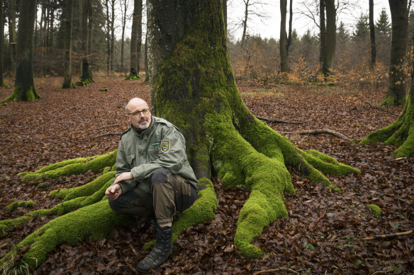 Peter Wohlleben seesaws wildly between optimism and his rage about the long-term damage caused by the forestry industry.