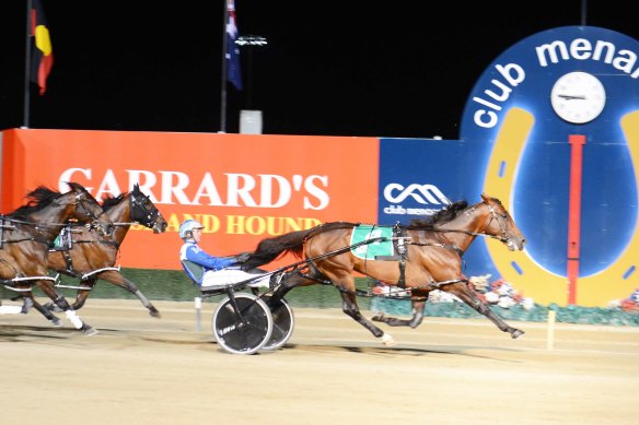 King Of Swing wins his Inter Dominion heat.