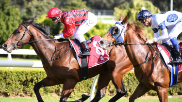 Rule The World leads all the way on debut at Canterbury. 