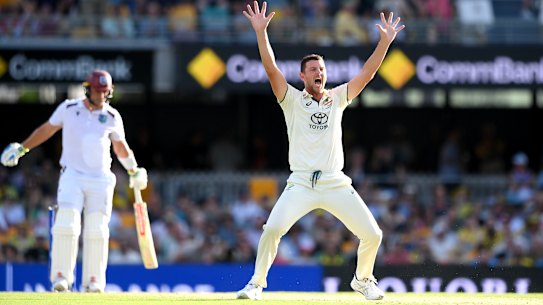 Australian quick Josh Hazlewood appeals on day one of the Gabba Test.