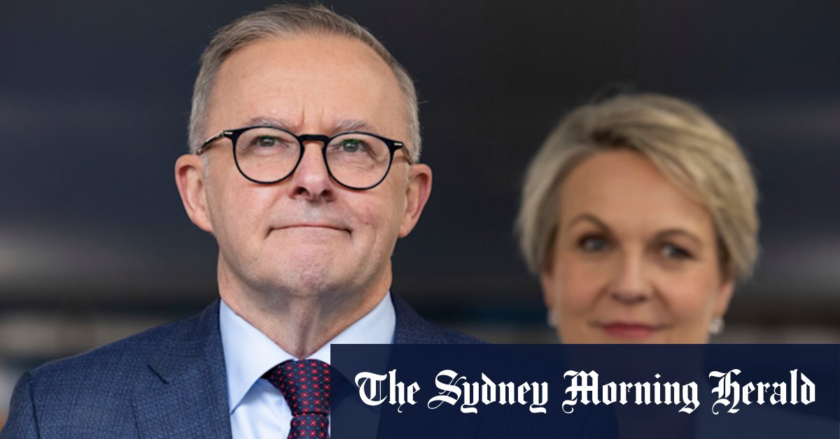 Anthony Albanese reacts to Tanya Plibersek's comments on 2019 leadership contest - Vimarsana News