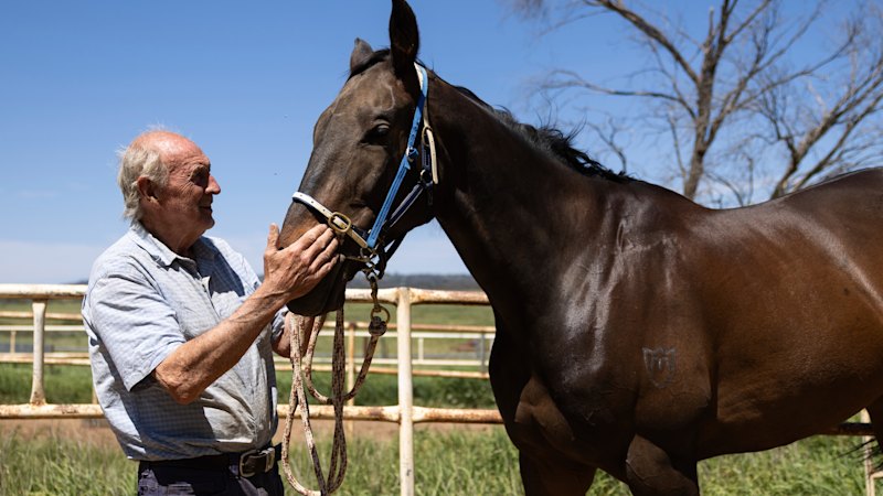 55 starts, 20 trips to the stewards and no wins. Bedouin Bear is one special race horse