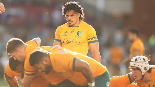 Backing up is hard to do: Can the Wallabies follow one win in Adelaide with another in Sydney?
