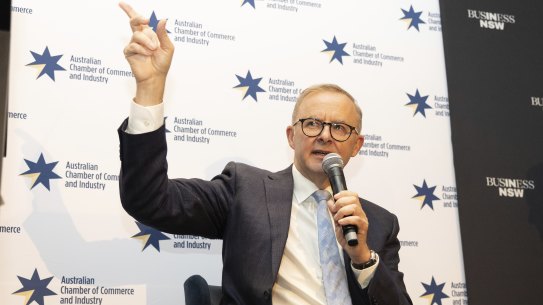 Anthony Albanese has been accused of playing “political games” by saying Labor can raise wages.