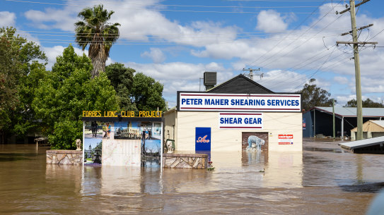 Floodwater in Forbes on Wednesday.