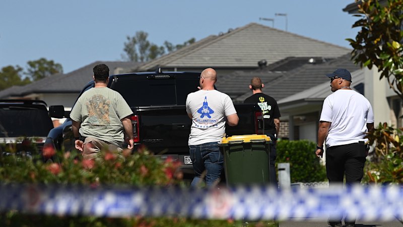 Grenades thrown at home in suburban Sydney: police